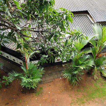 Green Bamboo House Sigiriya Eksteriør billede