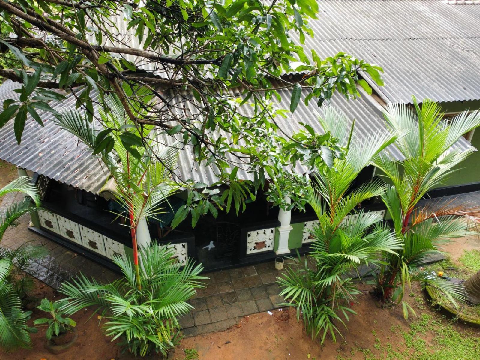 Green Bamboo House Sigiriya Eksteriør billede
