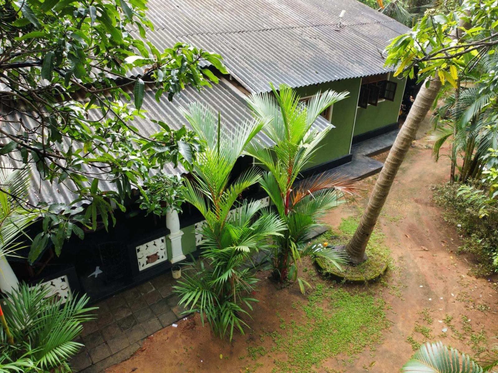 Green Bamboo House Sigiriya Eksteriør billede