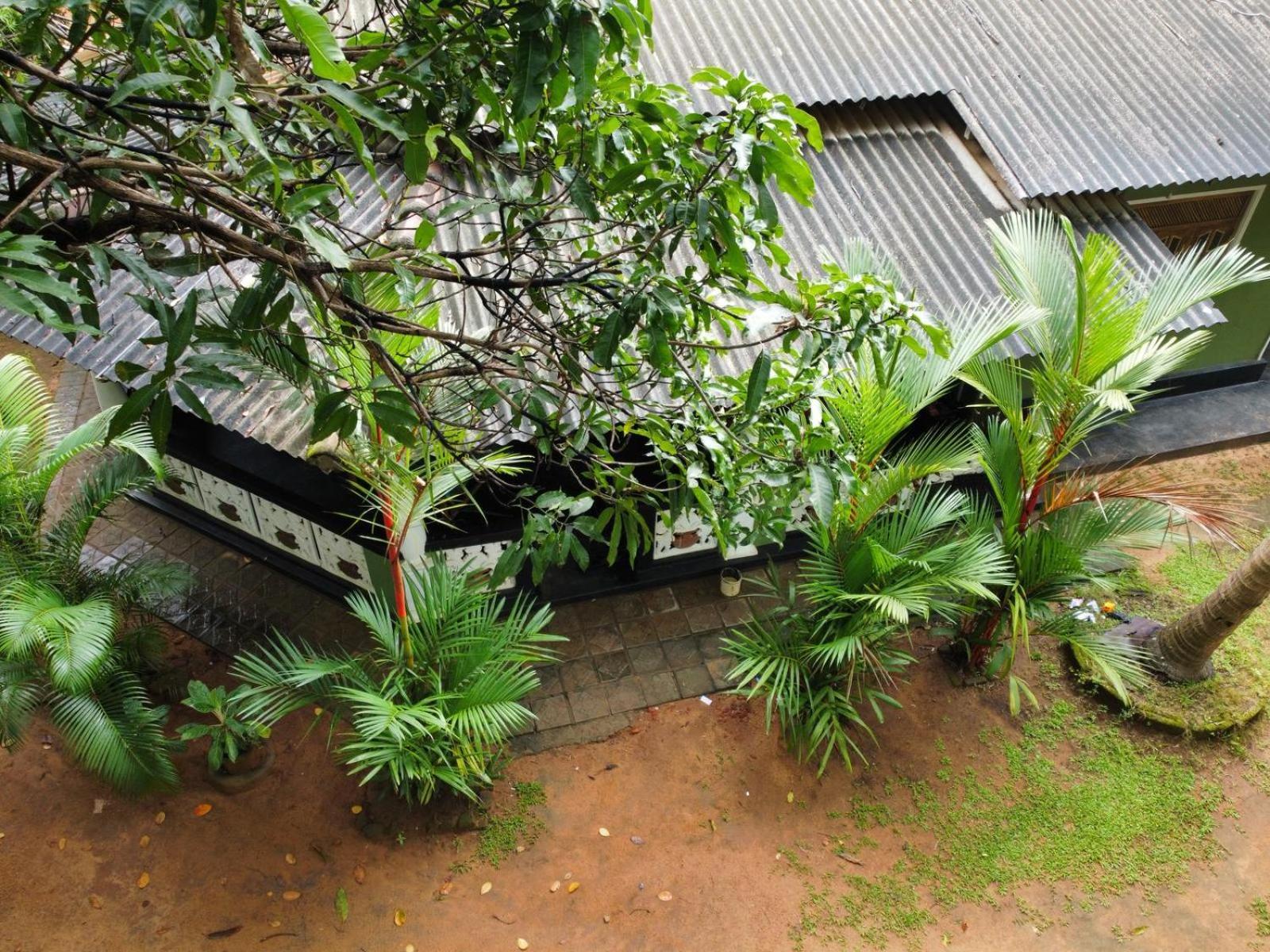 Green Bamboo House Sigiriya Eksteriør billede